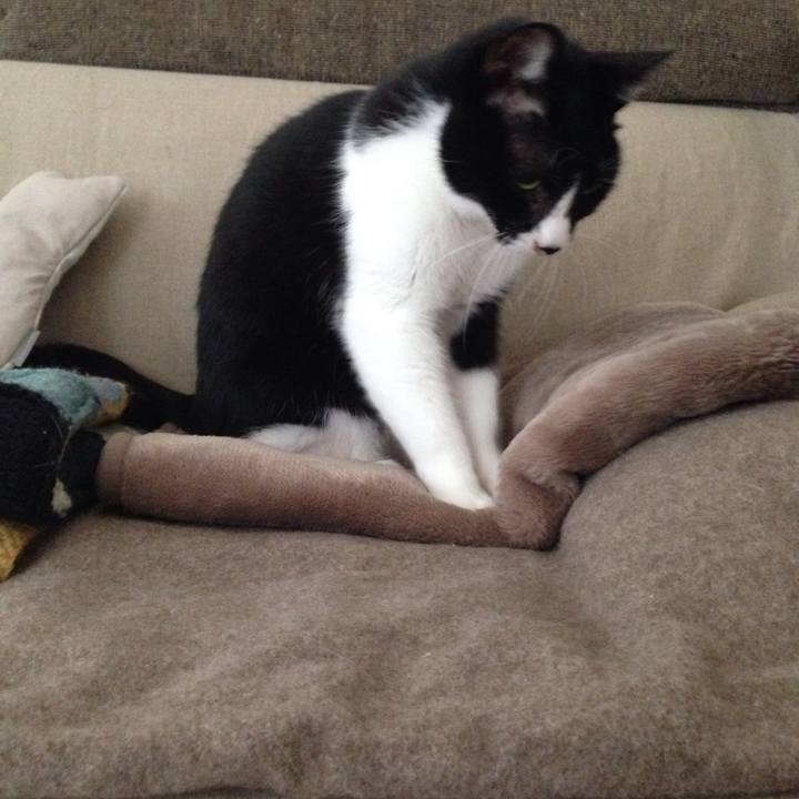 4a30eca1 4e1d 41ad 9eed fa794382f0ed