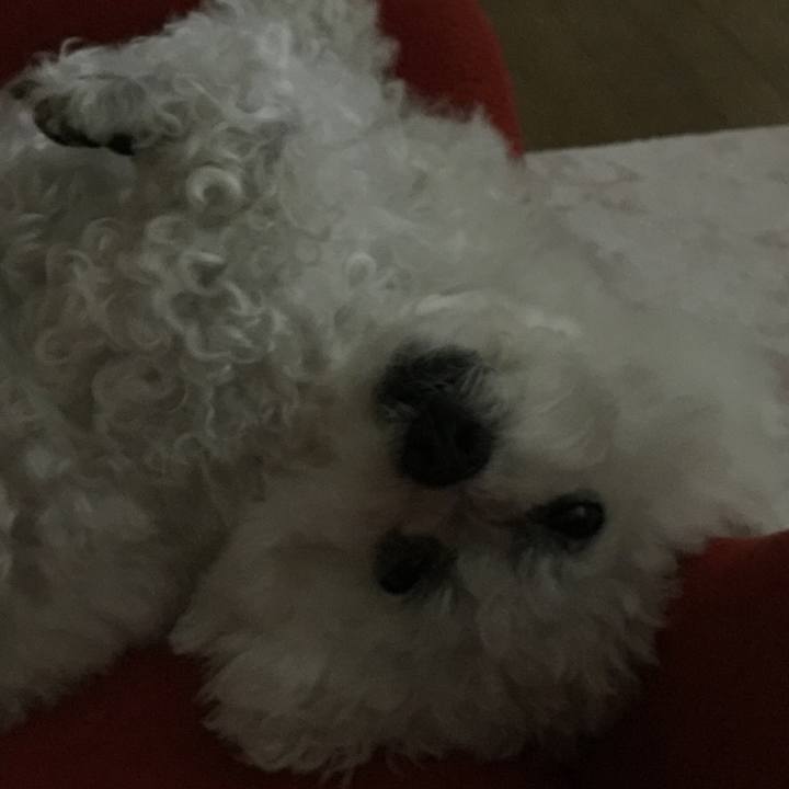 4a314bda 1758 4fc3 8247 485217e39c92