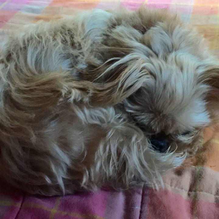 4a31a043 8b23 44d0 8094 71e6bde196e2