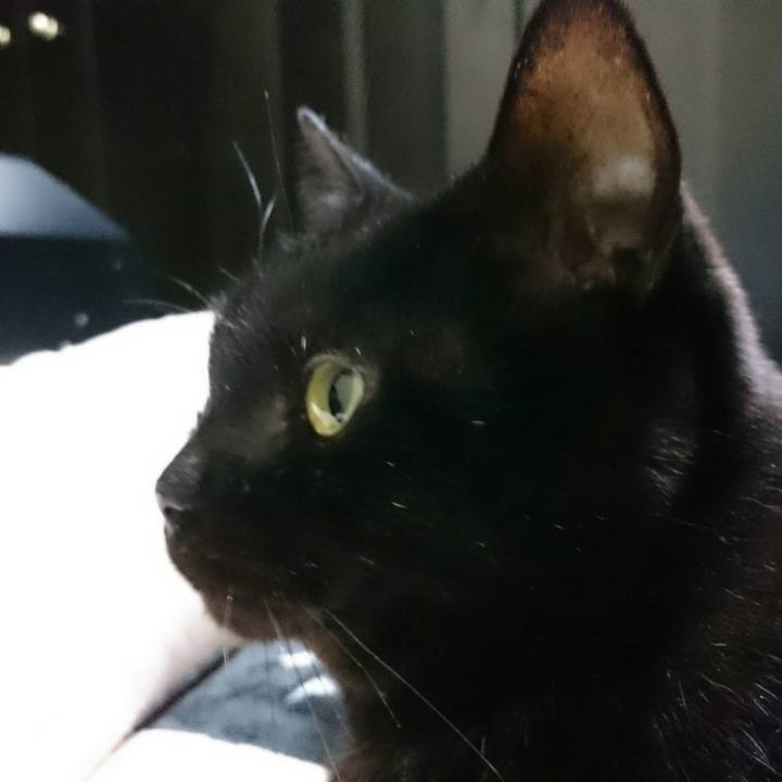 4a31a08f 153c 4bad a8f2 0397e9d3019e