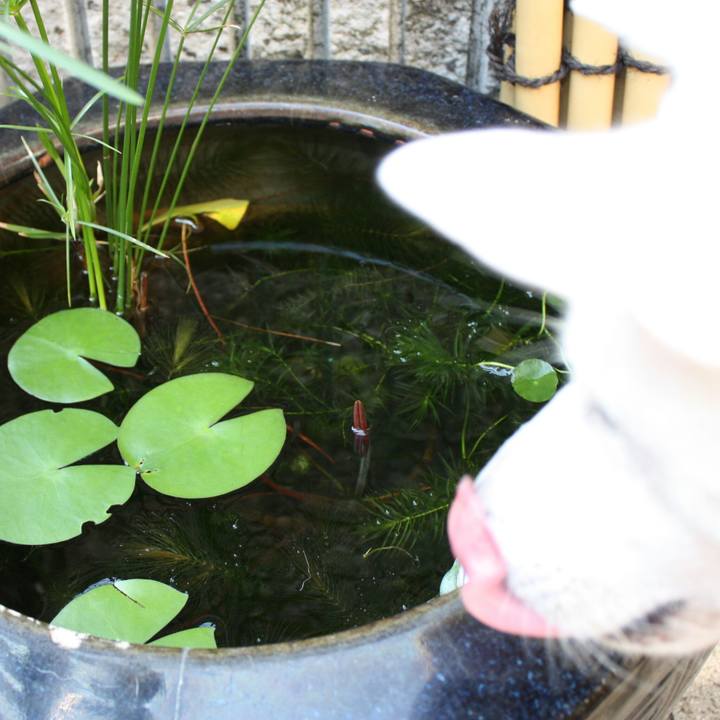 4a32eeff fc07 4b1e b2c1 4e540be8aaf8