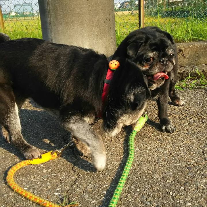 4a32f65c 8a6f 4d0e 80c9 7b4b5949b722