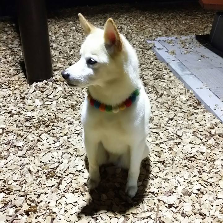 4a343a94 4134 44fe 8ea6 ac24cd78c68a