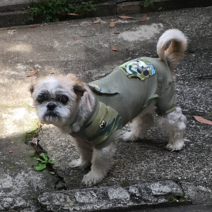 4a34fdc0 6fd6 4b79 9dc8 a0e034427c12