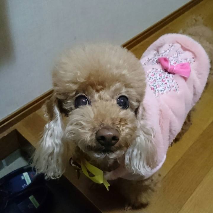 4a3526f8 faa5 4e77 bb39 785340ed8d0a