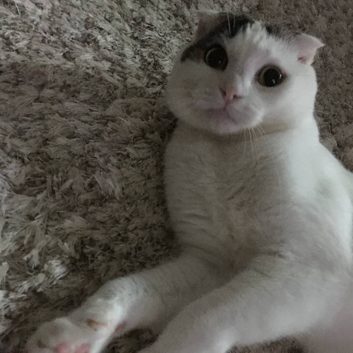 4a356ee0 32bc 423b a27f 320c4cd0b52c