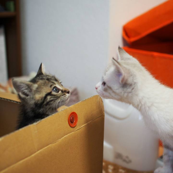 4a359338 d1e7 4674 8ebc 936452407c51