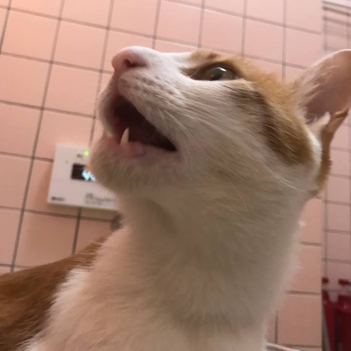 4a35cc43 d4ea 4280 9c00 796c4531718b