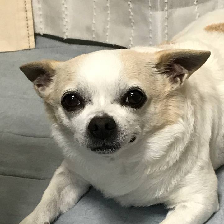 4a365c12 7a91 4a12 aada b49828ffa9ba