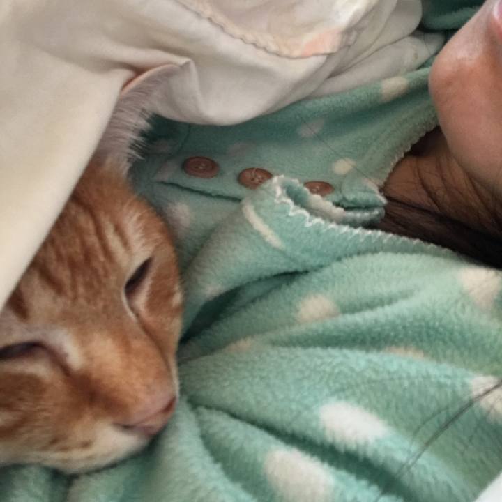 4a371cb5 7734 40ea b1b8 cfb9658d52c2