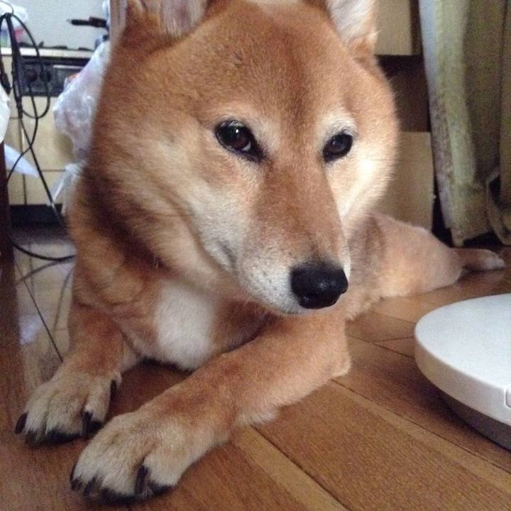 4a372133 ad78 48f6 afb8 79a8aa98e7f6