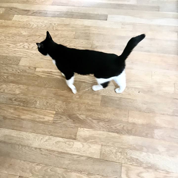 4a3861cd 0e53 474e a10c e0bded7fb929