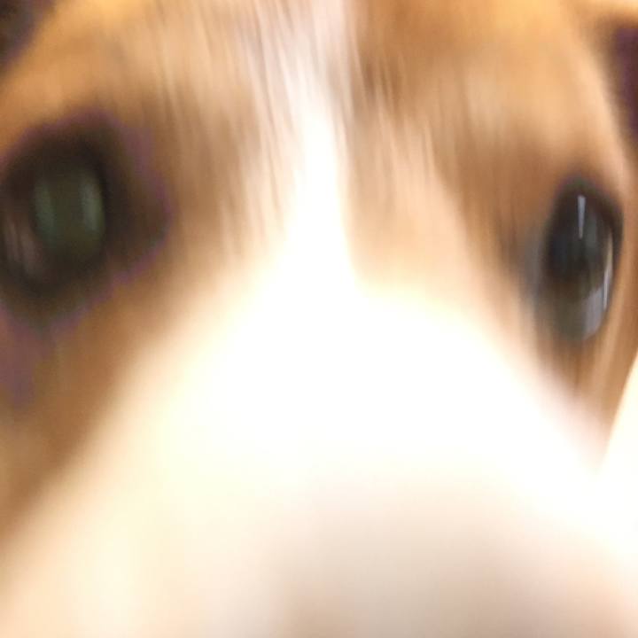 4a38d867 f77d 450b b1e6 a779d53c3e3c