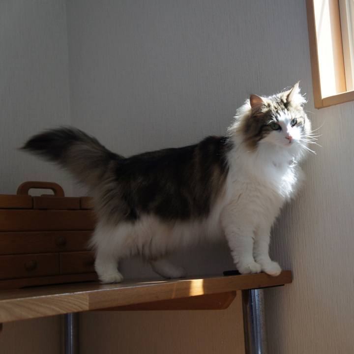 4a38fd41 e467 4625 bb5d 519b1aa17e17