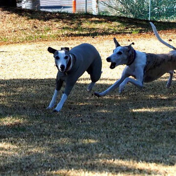 4a390733 709c 4148 ae78 7a510680ece4