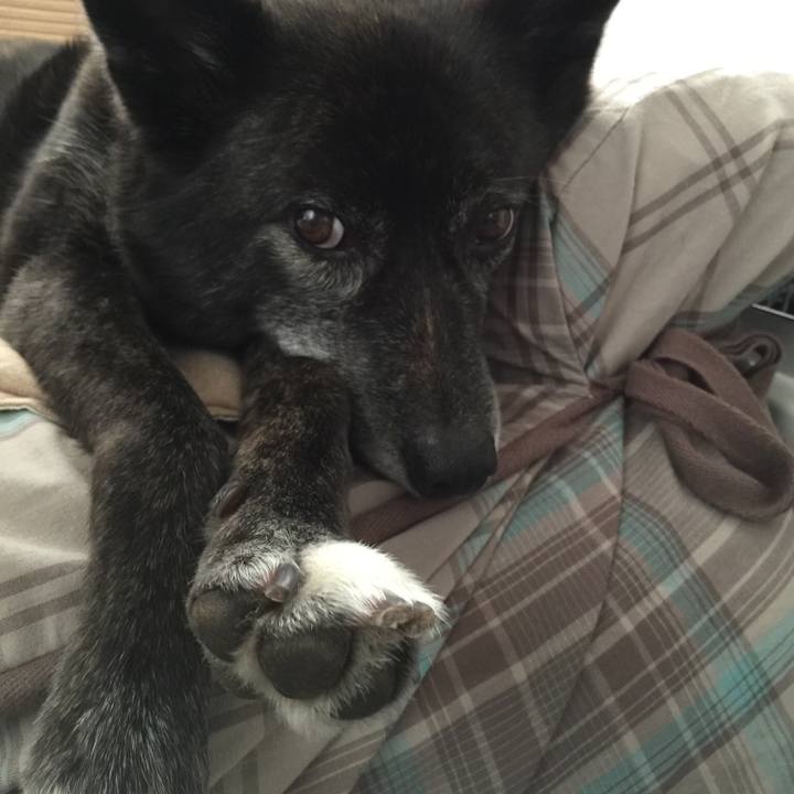 4a395c6a de76 4bfc 8789 5fe7d4368eeb