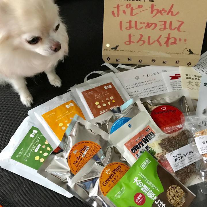 4a3a8217 5cee 42a9 a80f 5e047271ee1e