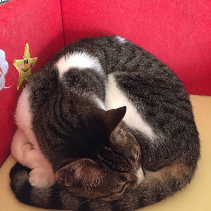 4a3af935 0a46 4ee2 a742 02ec27642440