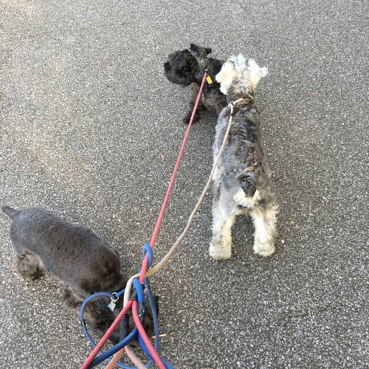 4a3afc51 bb39 4055 bcdb ea96c01fb954