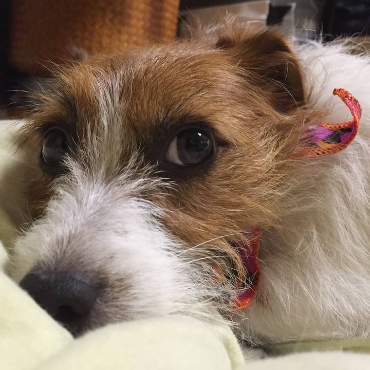 4a3c0f3e c848 4e6d a78e d2e707142146