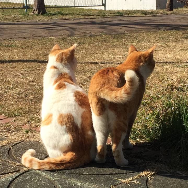 4a3c6212 d90a 4c34 bca7 0641455115c8