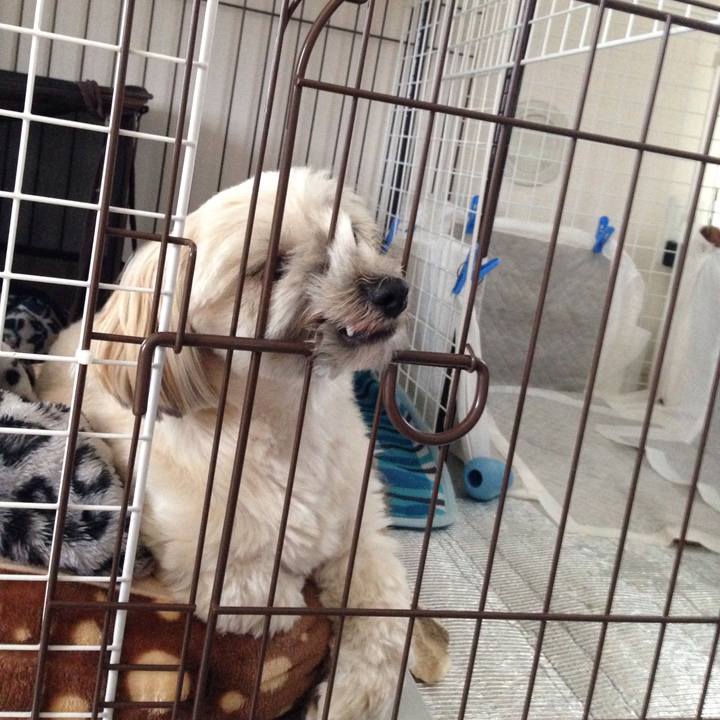 4a3d0e1f 252a 48a9 b887 b359d11c3ca5