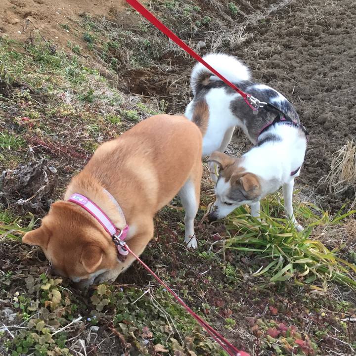 4a3d0eba f3a0 4f42 abab 4b013603db75