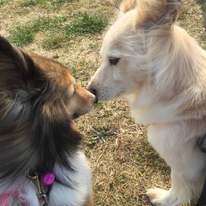 4a3d1a4c 092d 4132 aa76 0036e9dfc508