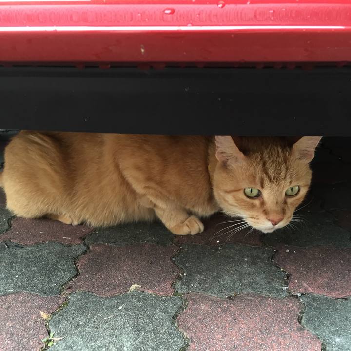 4a3d66eb 4593 4e7a 813e 0db242e9451b