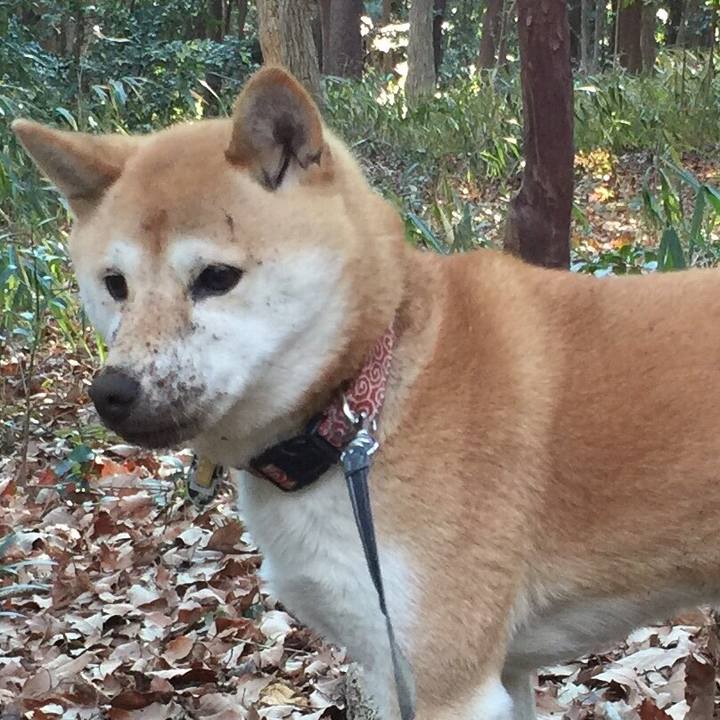 4a3d89e4 b0ce 4439 a446 5f419f8ce1d8