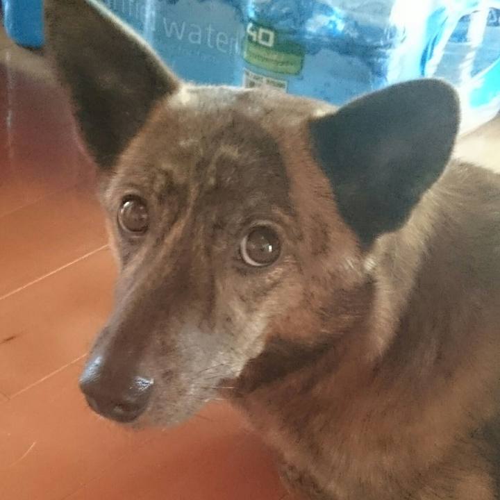 4a3f2816 7bcb 477c a10e 95c7f279d2d3