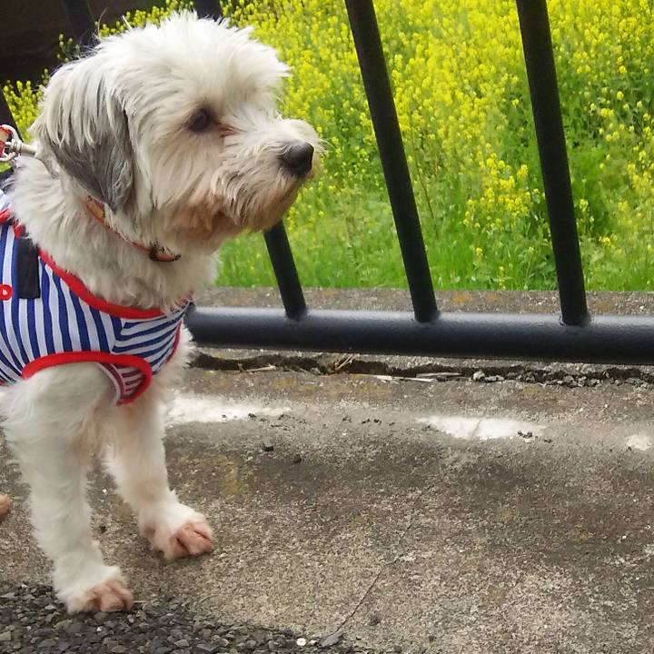 4a3f64df 3579 4d0d 8a37 17da00bd5c14