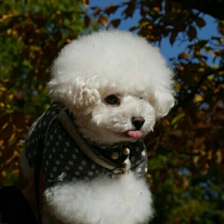 4a3f74b4 80c8 4df4 8561 7debe3e0ae6c