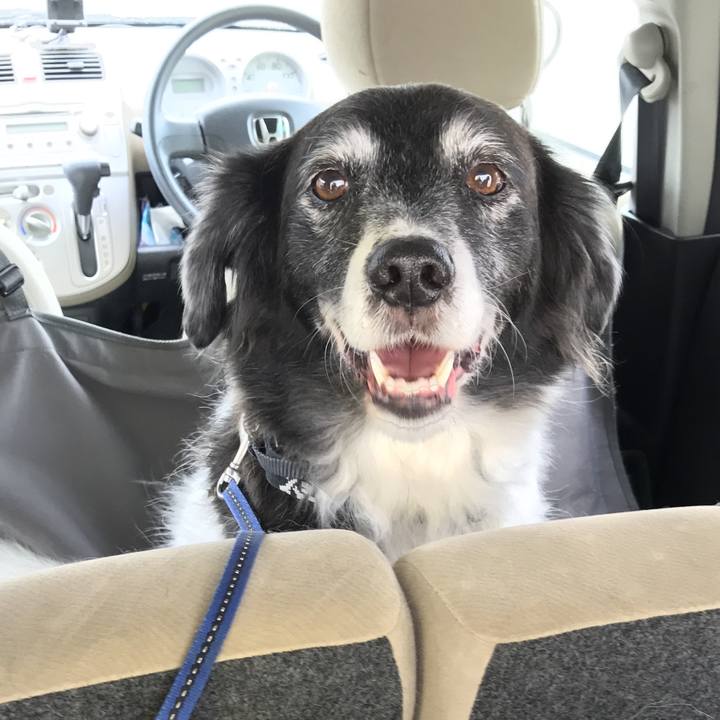 4a3f7d63 56f7 483a 8527 1a97da3b3f0a