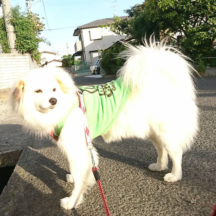 4a3f879a 6104 42e7 979f 549a4f119a66