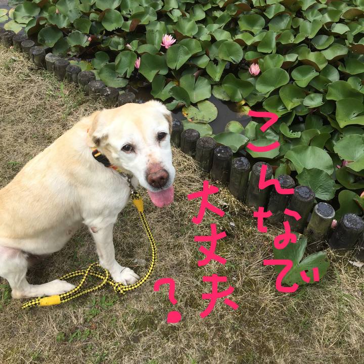 4a3f8fec 4d2b 4460 9938 fd87fd77e7c2