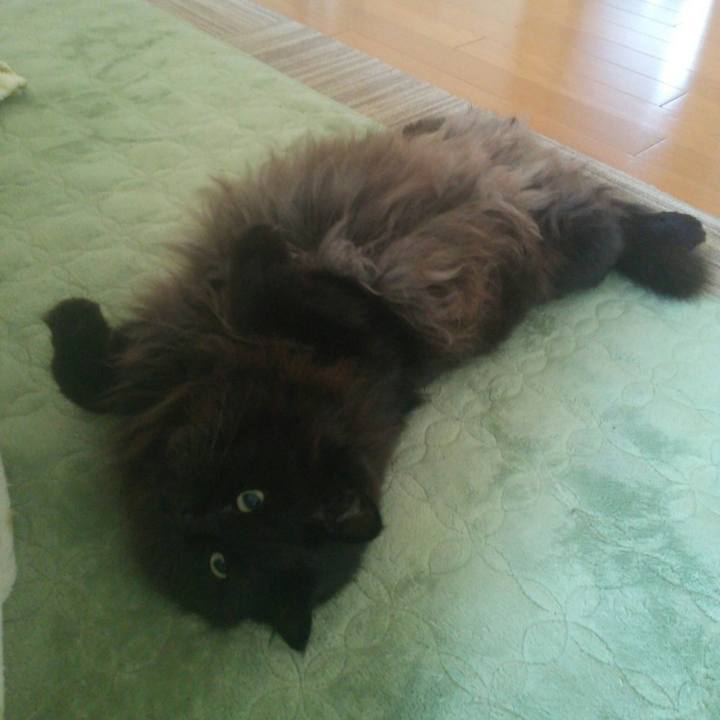 4a3fdcf1 e7e7 4c50 b751 f2a1bbc01f4f