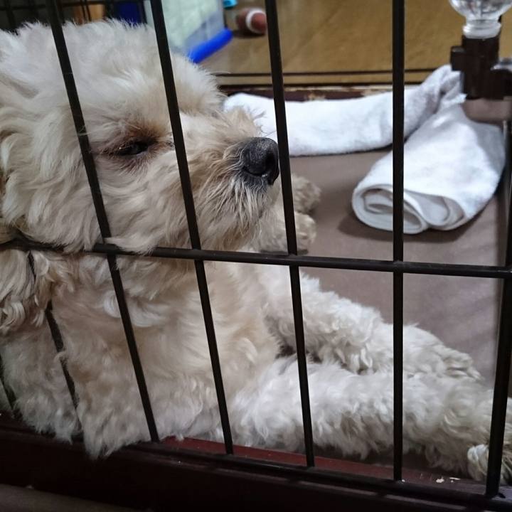 4a4090c6 25bc 4b59 b7a5 e51cf74fb44f