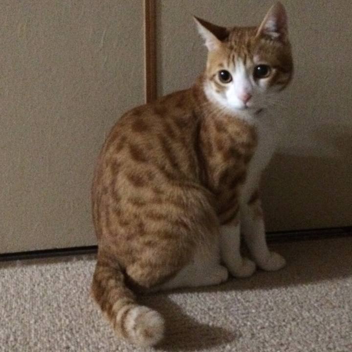 4a40986c 5574 4425 8a67 951008084c4f