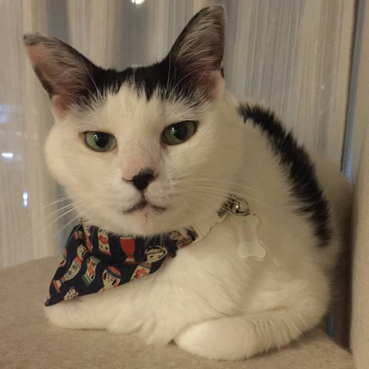 4a417e6b a14a 41ec bf48 96496f1bc7cf