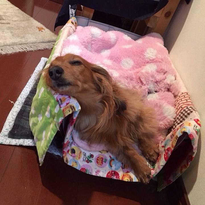 4a419633 3a63 4cc0 932a 43432496f4a8