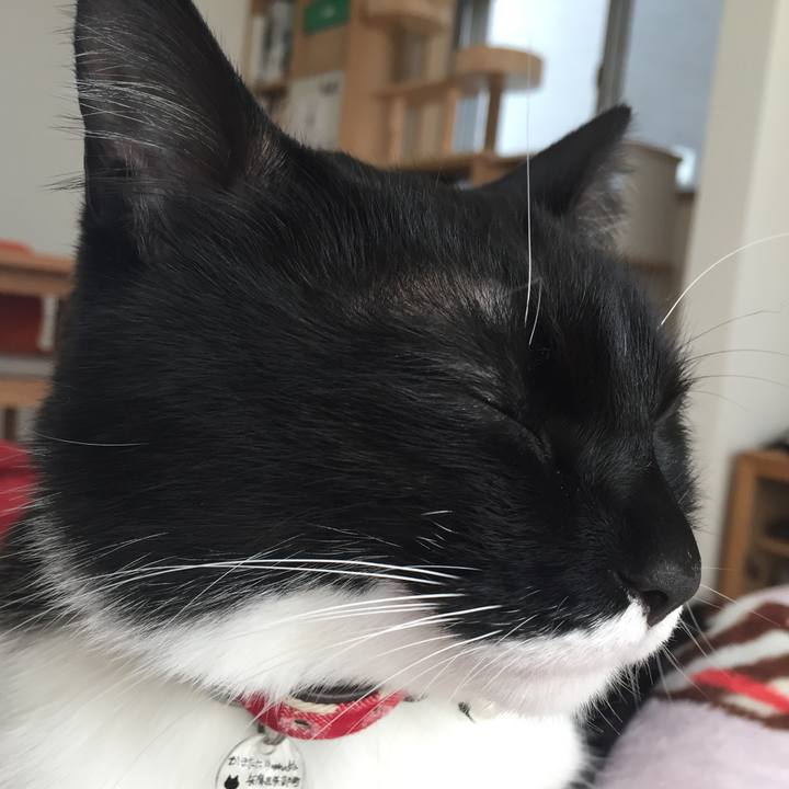 4a41f9c4 305c 489b 93e3 43193871be66