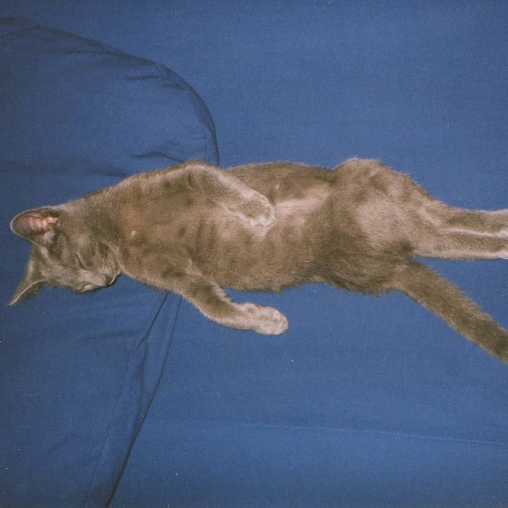 4a430e0f 40f4 45ff 945b e626fc4a3ed4