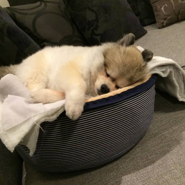 4a43369f 97be 4c44 8813 2ea774429b8b