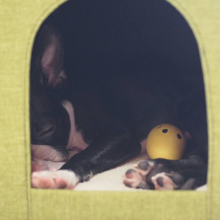 4a435b9b 2184 4a76 93fe e6abba7701b5