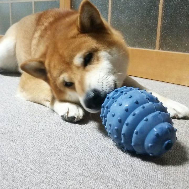 4a4423f8 d6cc 45f8 b38b 206b13fad46c