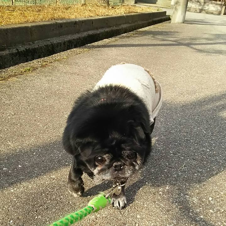 4a44953e 05e7 487d 9962 c4237007f82b