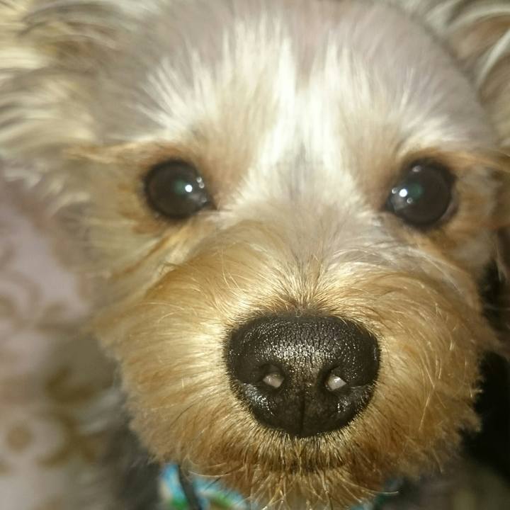 4a44ea51 324e 4f81 8166 e74b896a9c39