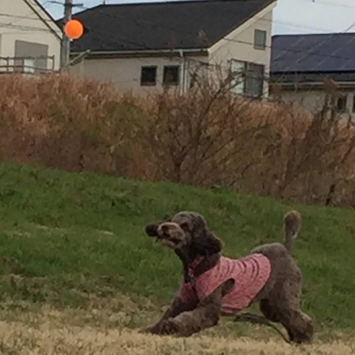 4a44f9f8 40ef 414d 87c5 da2f1409fb1b