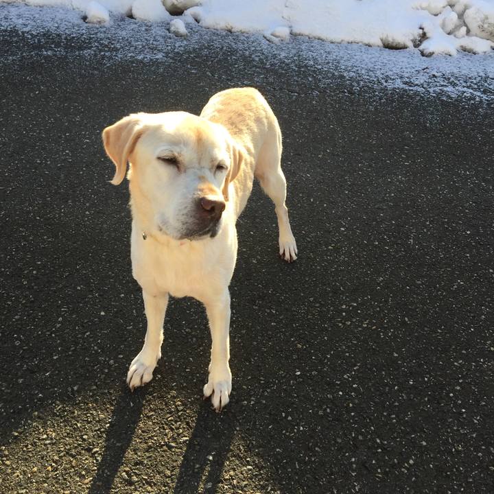 4a45b9f1 8980 4718 92f2 ec77ad6d397f